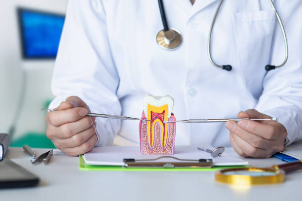 Reliable AL Emergency Dental Service Solutions